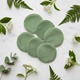 Disques verts - flat lay