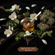 Ingrédients - jasmin, miel, patchouli, mousse de chêne